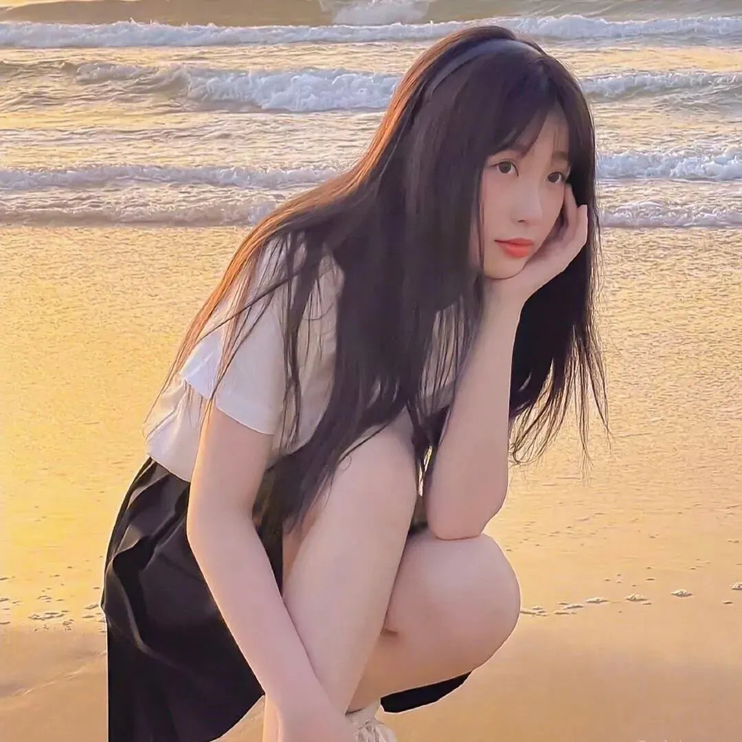 法网追击